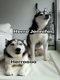 Poster for Birthday video from The Husky Moon