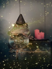 Poster for Other video from The Frogs & Tay