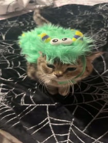 Poster for Other video from Melody & Jiggy