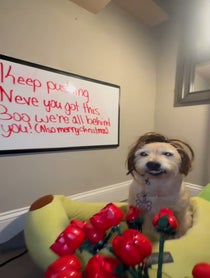 Poster for Pep Talk video from Dixie