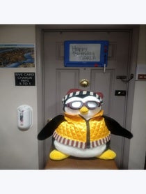 Poster for Birthday video from Your favorite penguin pal