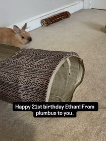 Poster for Birthday video from Real Peanut Bunner