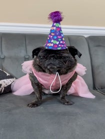 Poster for Birthday video from ClemJuno