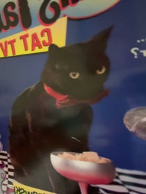 Poster for Holiday video from Nick Bakay