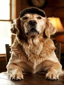 Poster for Other video from The Redneck Retriever