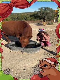 Poster for Holiday video from Alveus Sanctuary
