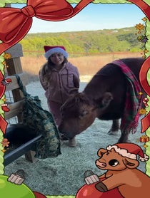 Poster for Holiday video from Alveus Sanctuary