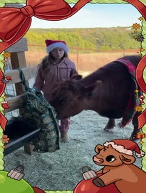 Poster for Holiday video from Alveus Sanctuary