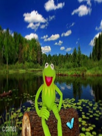 Poster for Intro video video from Kermitthepuppet