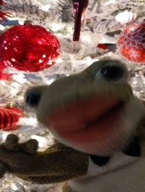 Poster for Holiday video from Ribberto the Frog