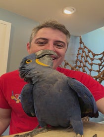 Poster for Holiday video from Baba Blast