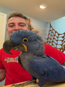 Poster for Other video from Baba Blast