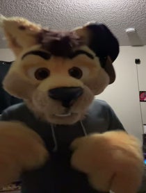 Poster for Holiday video from Daxter Dingo