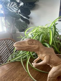 Poster for Holiday video from Gregory James Cohan