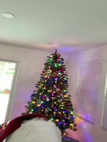 Poster for Holiday video from Joe Lando
