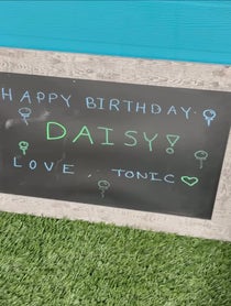 Poster for Birthday video from Tonic the Cat