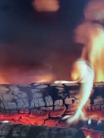 Poster for Holiday video from Noah Cappe