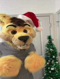 Poster for Holiday video from Daxter Dingo