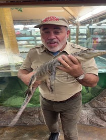 Poster for Question video from Jay Brewer AKA JayPrehistoricPets