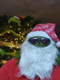 Poster for Holiday video from SouthPoleGrinch
