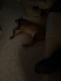 Poster for Birthday video from Tristin Mays