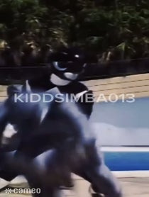 Poster for Intro video video from SIMBA