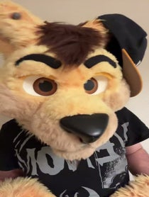 Poster for Birthday video from Daxter Dingo