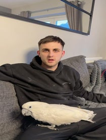 Poster for Birthday video from Charlie Junior The Cockatoo