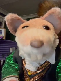 Poster for Birthday video from Basil Brush