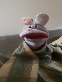 Poster for Birthday video from The Cranky Bunny