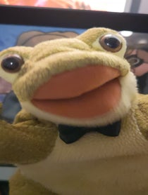 Poster for Birthday video from Ribberto the Frog