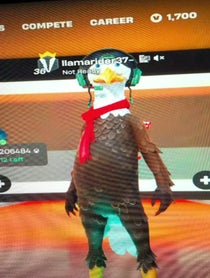 Poster for Roast video from llama rider