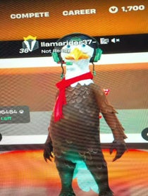 Poster for Roast video from llama rider