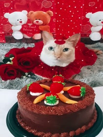 Poster for Birthday video from Dianitalaviral