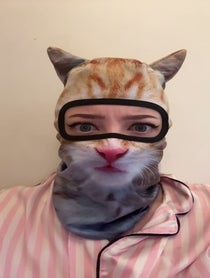 Poster for Valentine's Day video from meowcrobe