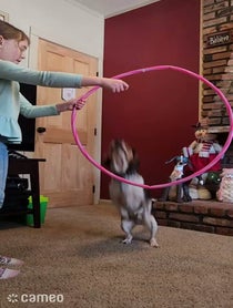 Poster for Intro video video from Pawly Hoops