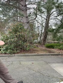 Poster for Valentine's Day video from Irvin  Blanco