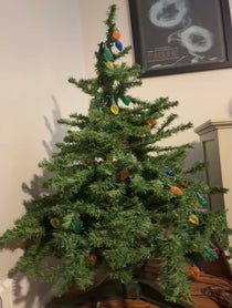 Poster for Birthday video from Lunchbox