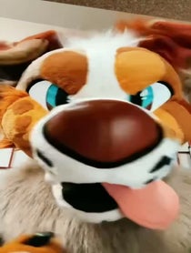 Poster for Valentine's Day video from TwilightSaint