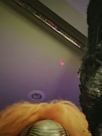 Poster for Valentine's Day video from The Official Cheetoz Klown