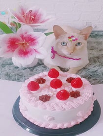 Poster for Birthday video from Dianitalaviral