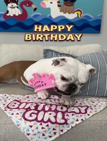Poster for Birthday video from Pancake 🥞