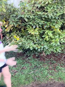 Poster for Birthday video from Voros Twins