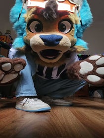 Poster for Birthday video from Rex The Third