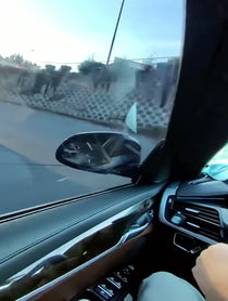 Poster for Other video from povtraffic