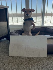 Poster for Birthday video from Alex