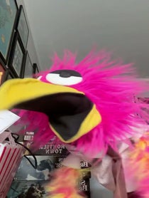 Poster for Other video from Chad the Bird