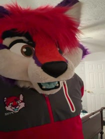 Poster for Roast video from Pyxe