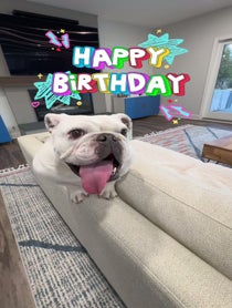 Poster for Birthday video from Pancake 🥞