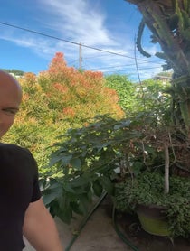 Poster for Birthday video from Philip Anthony-Rodriguez